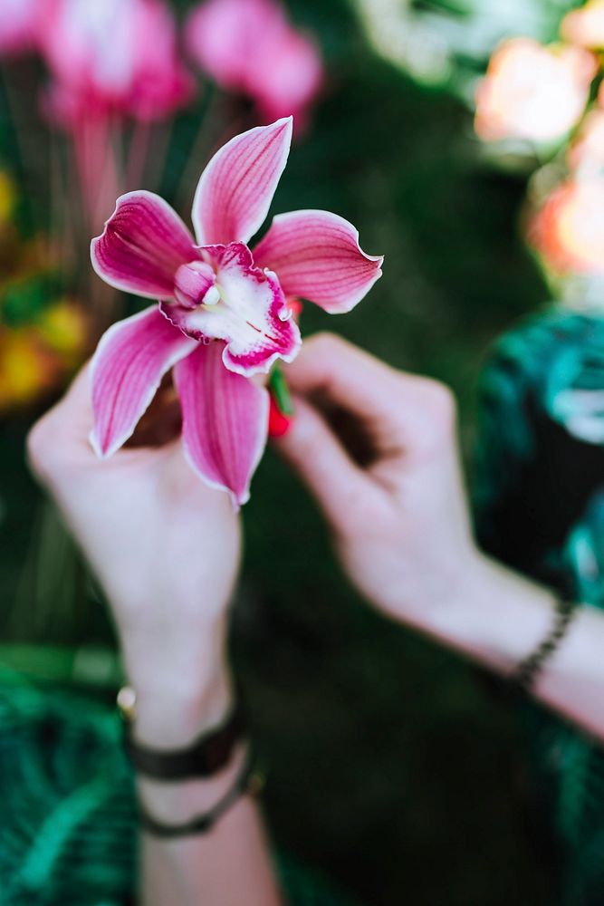 Woman holding an orchid. Visit Kaboompics for more free images.