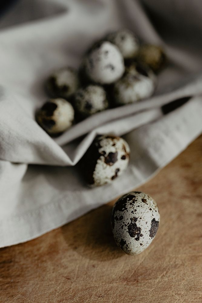 Tiny quail eggs. Visit Kaboompics for more free images.