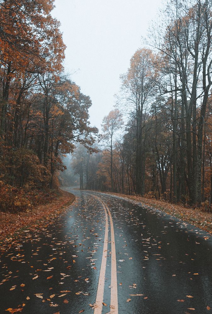 Autumn at Blue Ridge Parkway route, USA