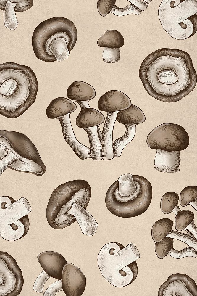 Hand drawn organic mushroom background