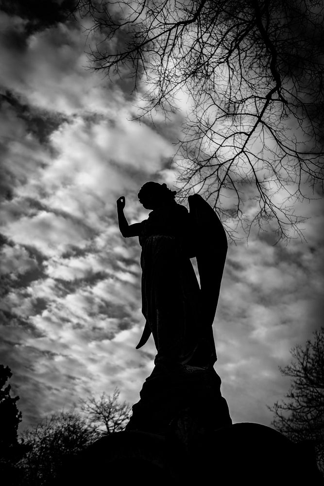 Archangel in cemetery, monotone. Original public domain image from Flickr