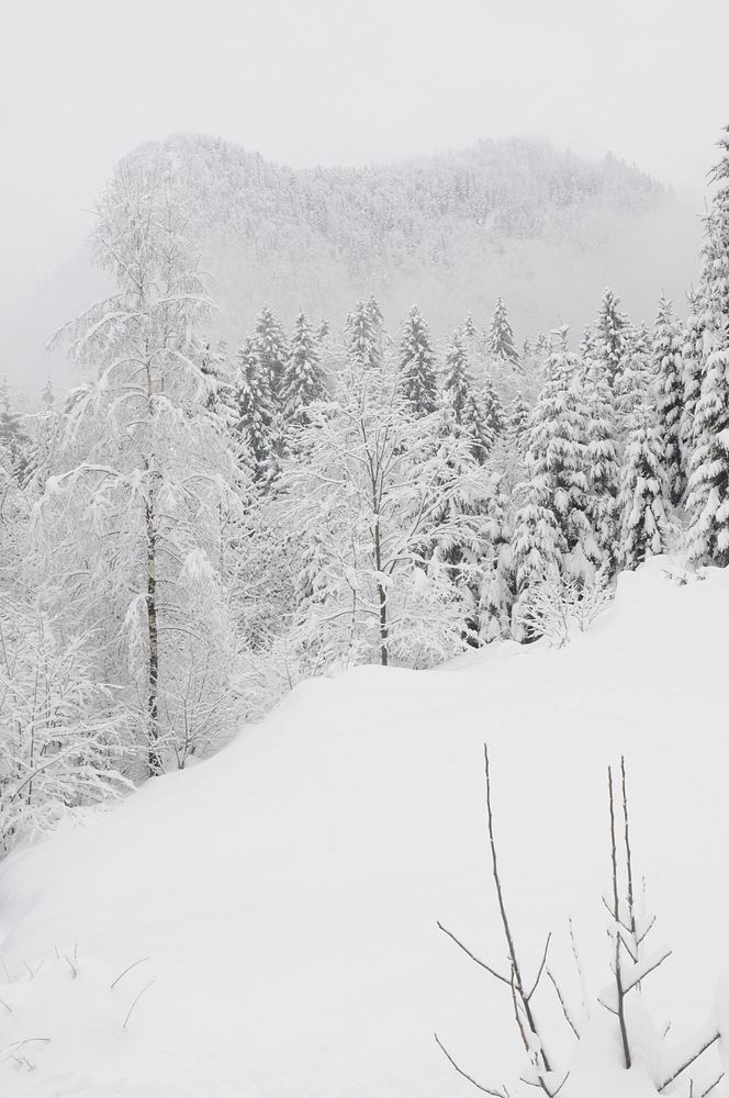 Mountain slope covered with snow. Original public domain image from Flickr