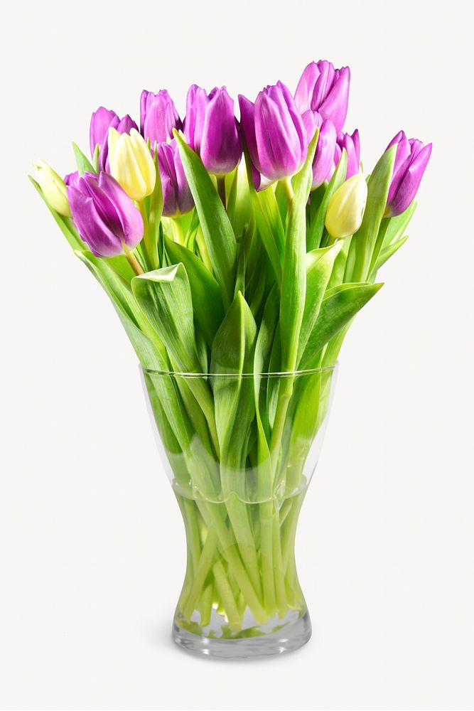 Tulip flower vase isolated image