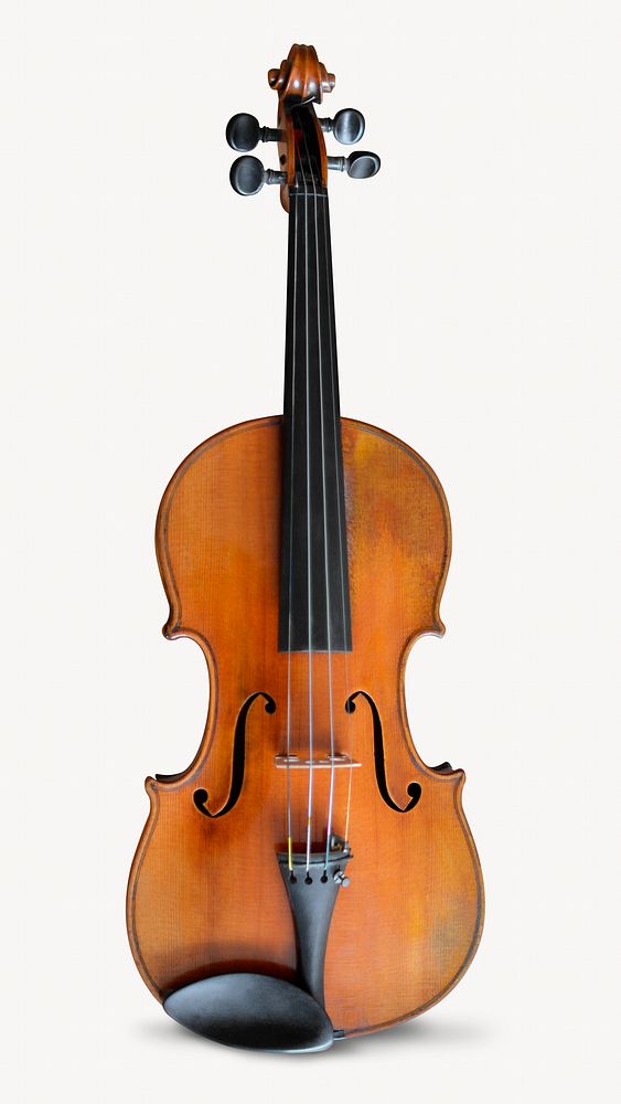 Violin, musical instrument isolated image