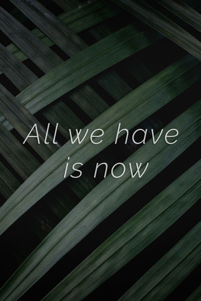 All we have is now quote on a palm leaves background