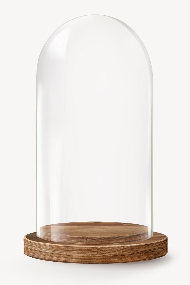 Aesthetic glass dome, product backdrop with wooden base