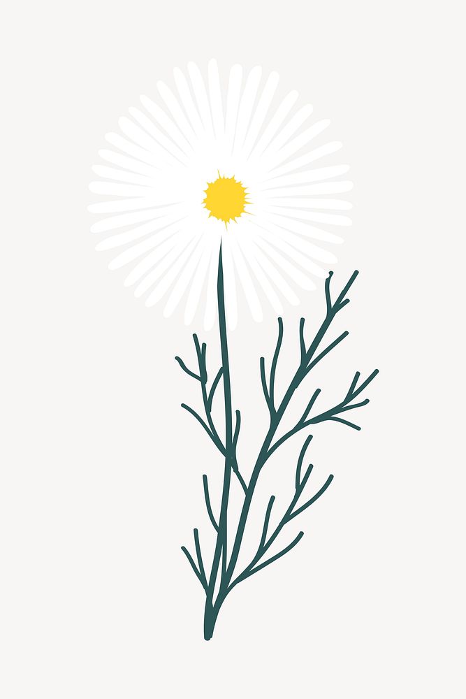Aesthetic daisy sticker, white flower doodle vector