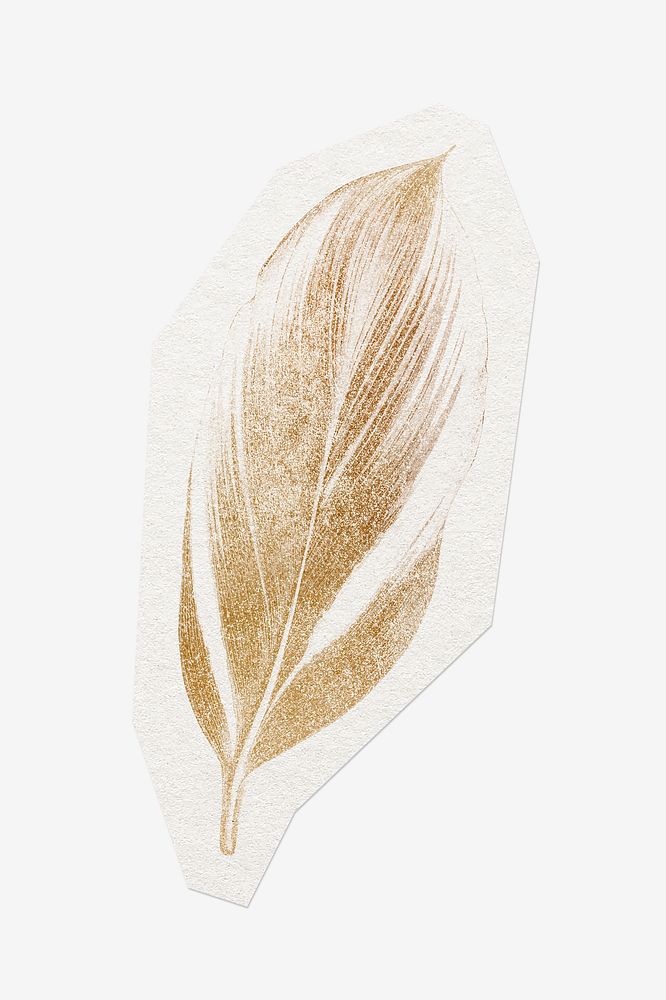 Golden feather, cut out paper design, off white graphic