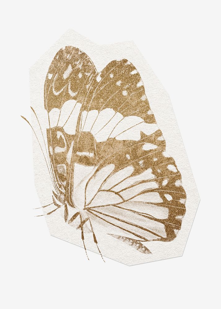 Gold glitter butterfly, cut out paper design, off white graphic