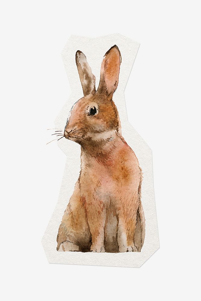 Rabbit, watercolor drawing, cut out paper design, off white graphic