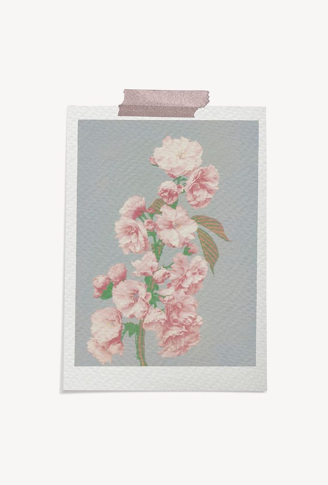 Aesthetic paper mockup frame, floral design psd