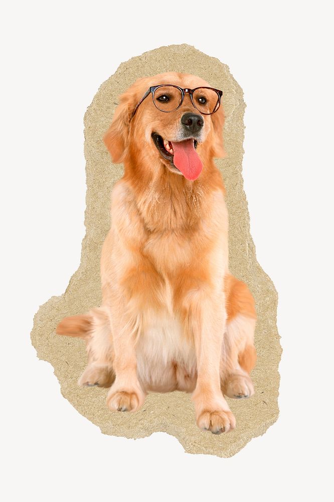 Golden Retriever dog collage element, animal torn paper design psd