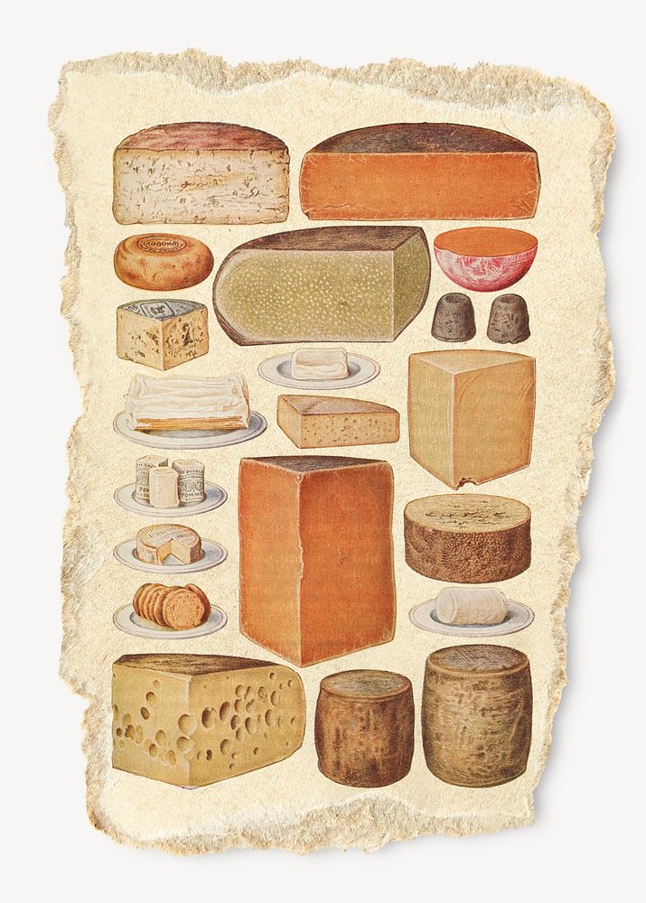 Vintage cheese, ripped paper food collage element