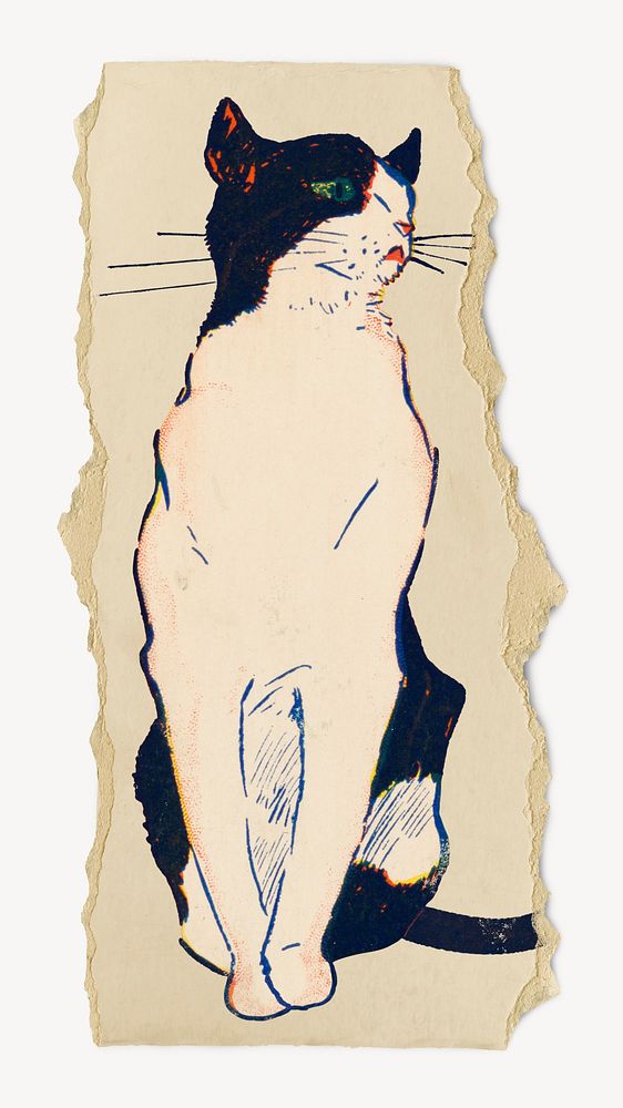 Sitting cat, ripped paper animal collage element