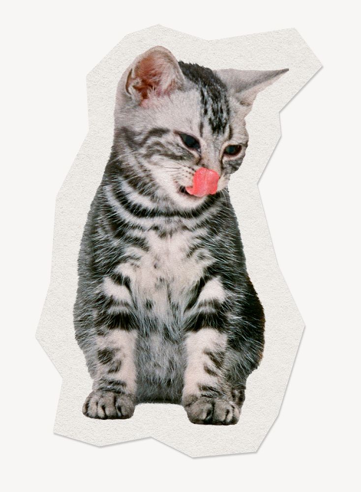 Cute cat sticker, pet animal illustration