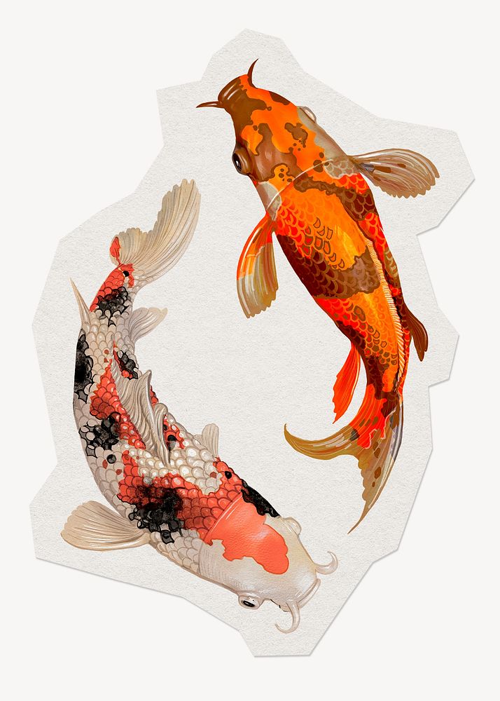 Koi fish sticker, animal illustration collage element