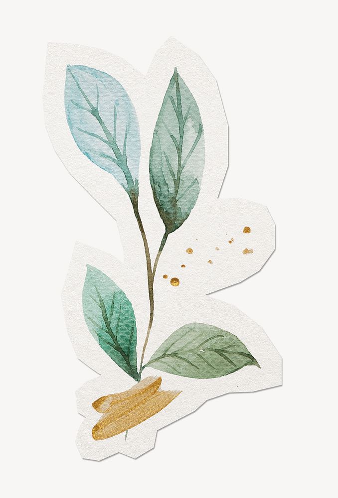 Aesthetic leaves sticker collage element, Premium Photo rawpixel