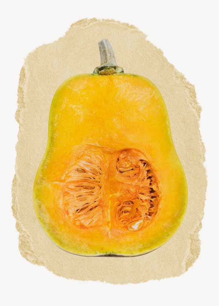 Butternut squash, ripped paper collage element