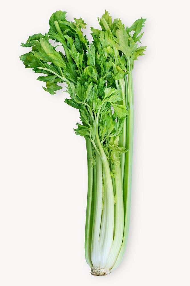 Celery sticker, vegetable, food ingredient image psd