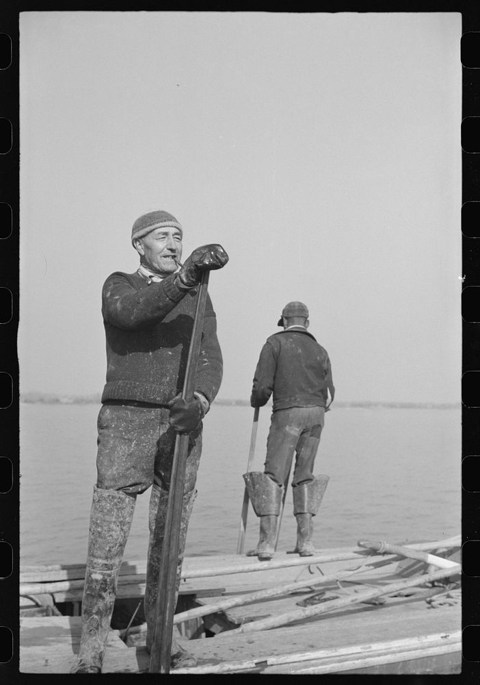 [Untitled photo, possibly related to: Captain Stein, oysterman, Rock Point, Maryland]. Sourced from the Library of Congress.