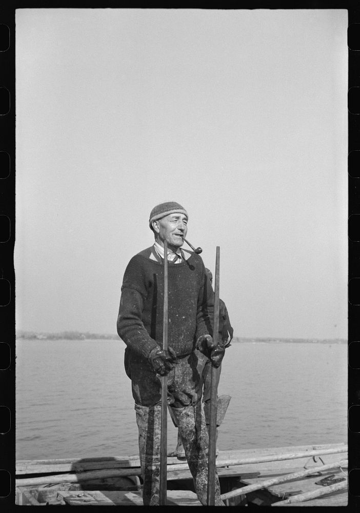 Captain Stein, oysterman, Rock Point, Maryland. Sourced from the Library of Congress.