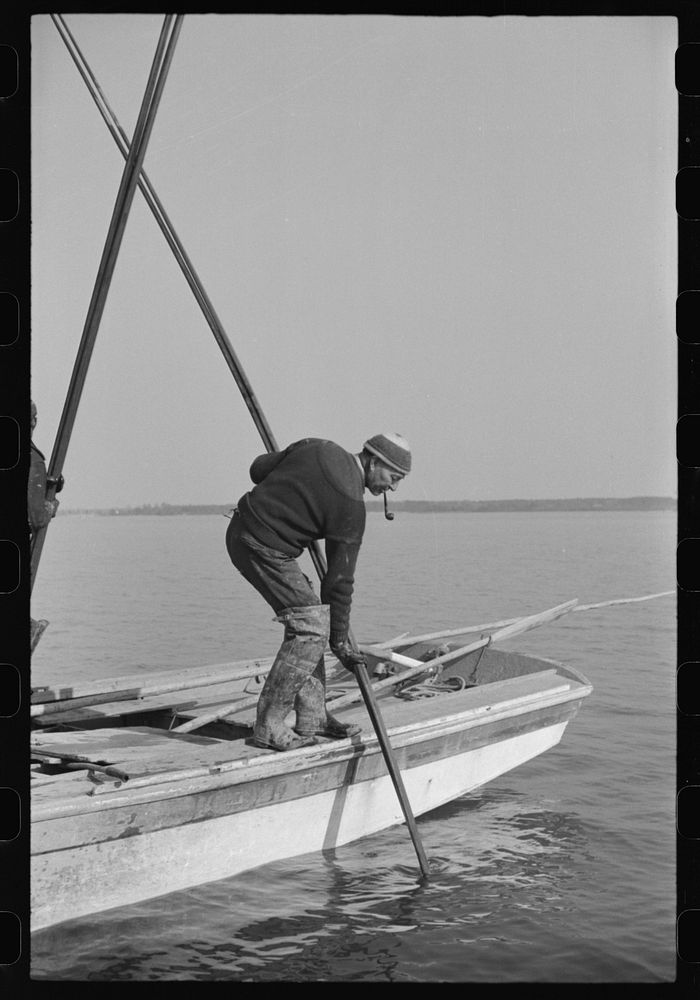 Oyster tonger, Rock Point, Maryland. Sourced from the Library of Congress.