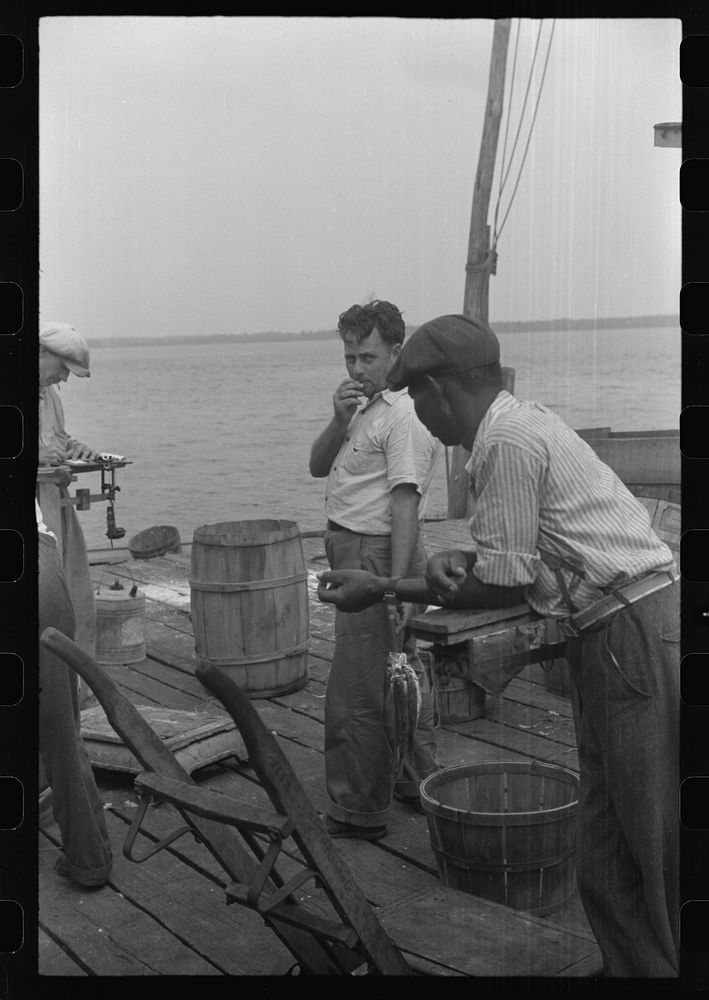 [Untitled photo, possibly related to: Dumping crabs into cooker. Rock Point, Maryland]. Sourced from the Library of Congress.