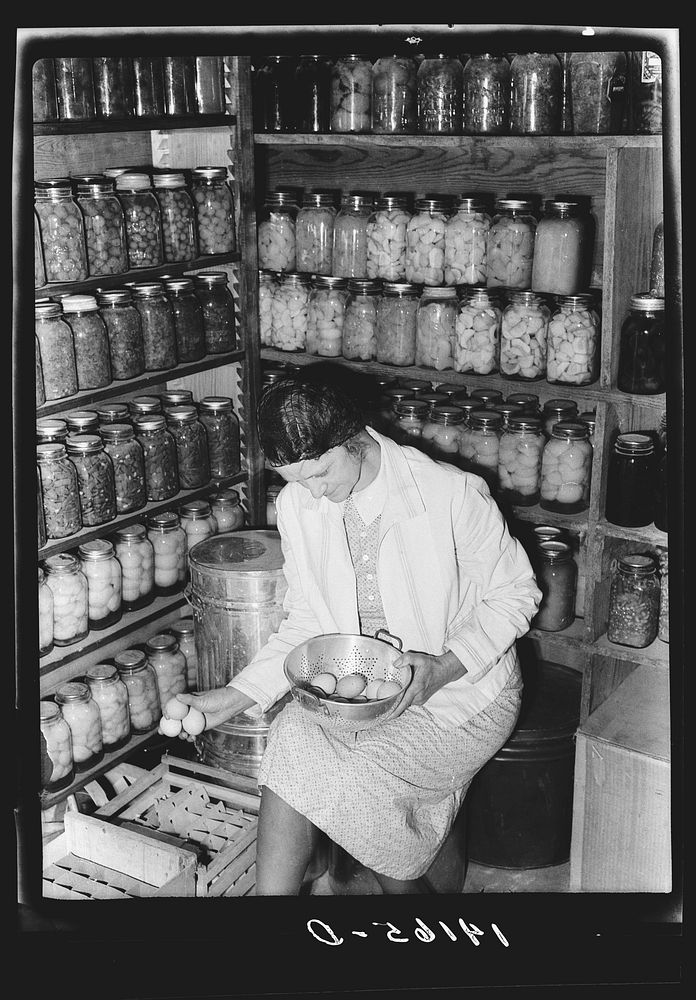 Mrs. Richard R. Gill, Donley County, Texas, prepares eggs for the market. The large containers are filled with homemade lard…