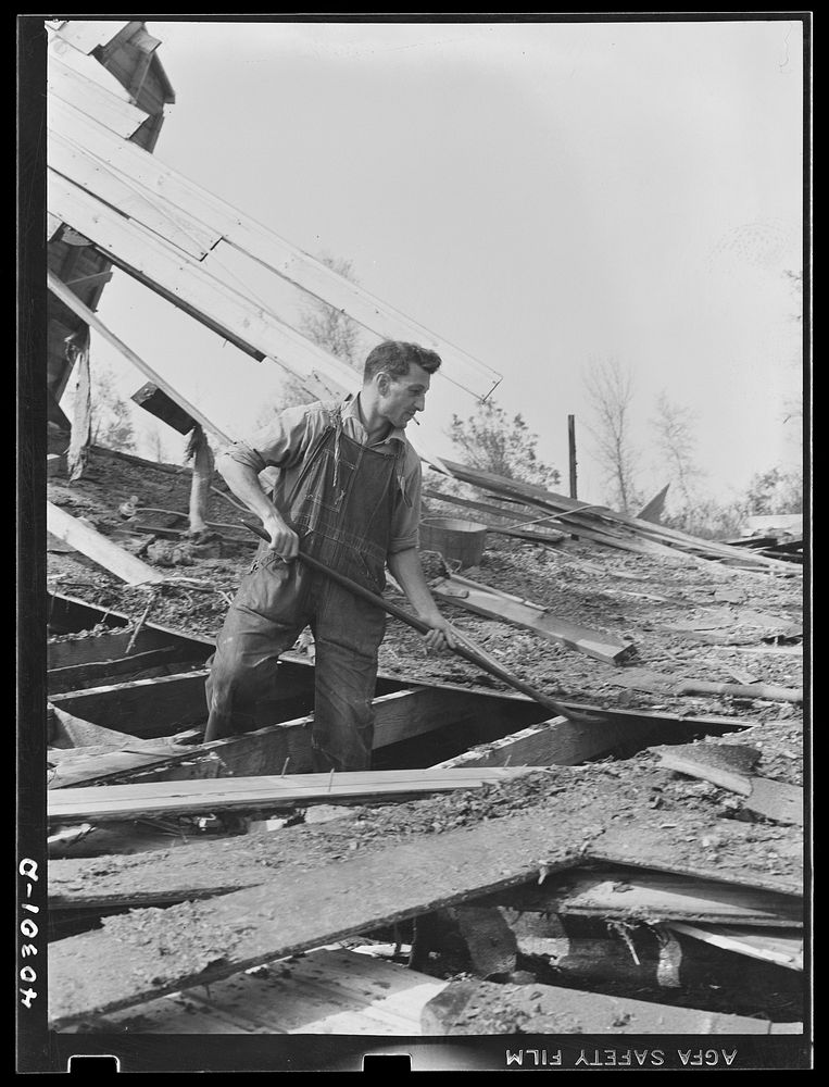 New England hurricane. Farmer clearing debris of chicken house between Worcester and Amherst, Massachusetts. Sourced from…