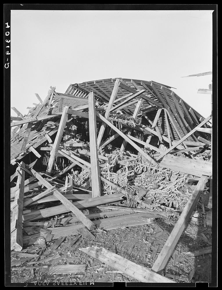 [Untitled photo, possibly related to: New England hurricane. Tobacco barn in Connecticut]. Sourced from the Library of…
