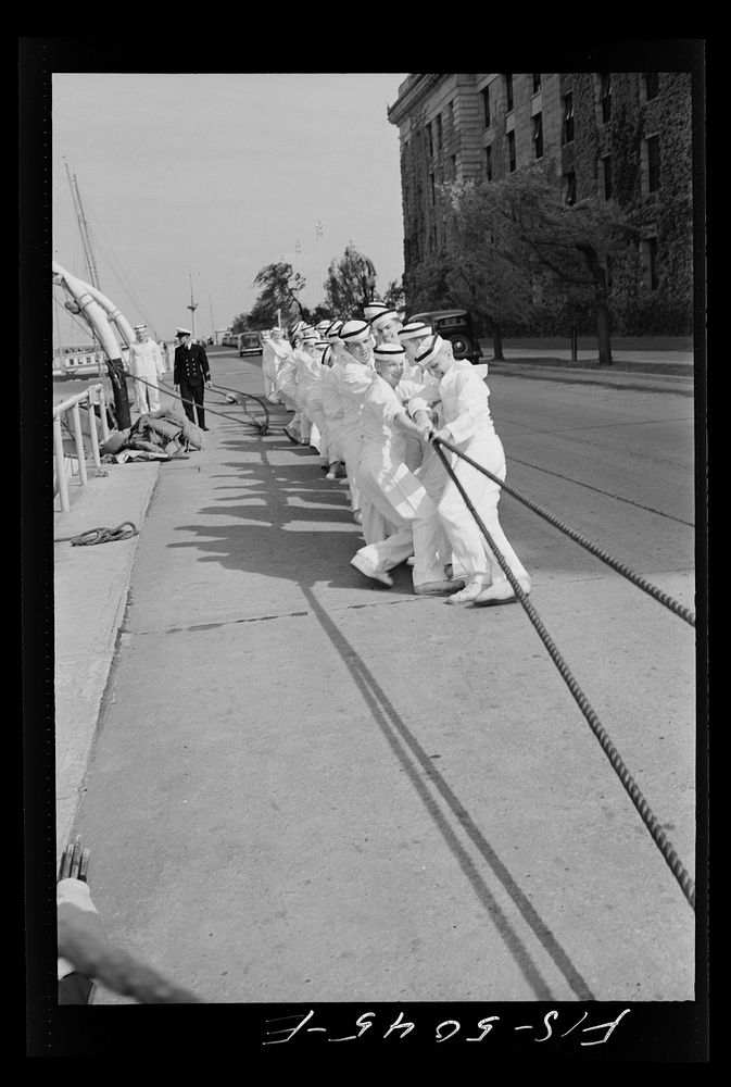 U.S. Naval Academy, Annapolis, Maryland. Tug of war. Sourced from the Library of Congress.