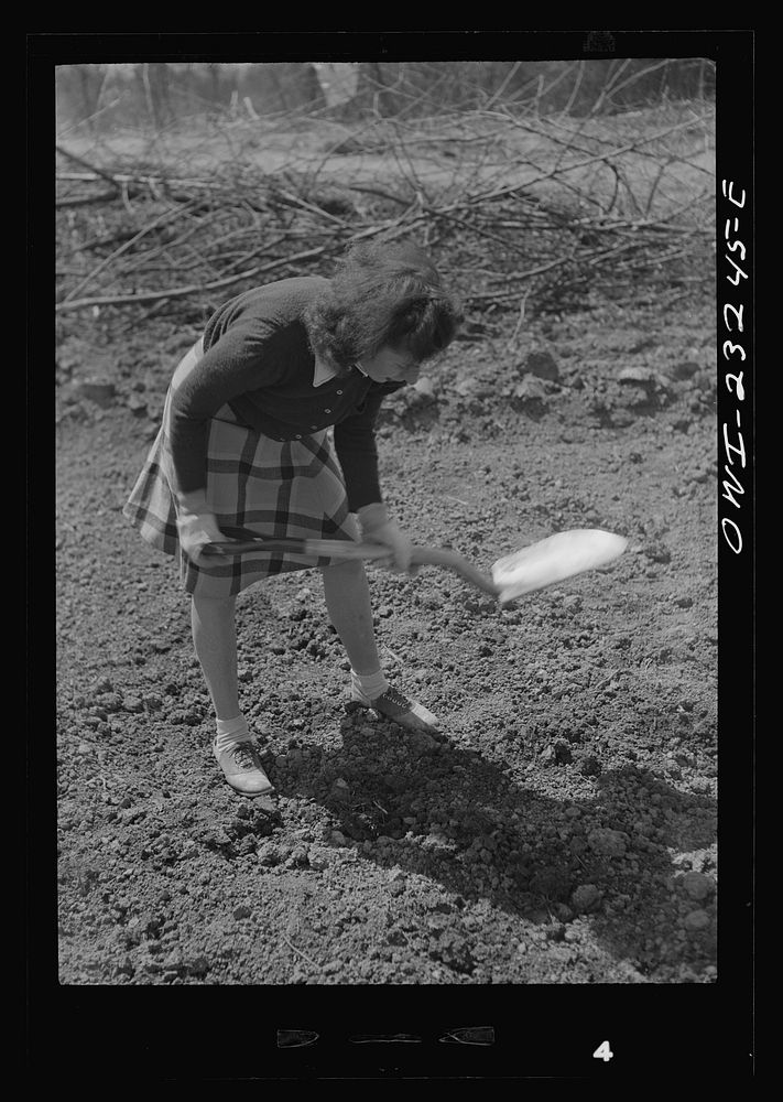 Washington, D.C. Mrs Ruding at work on her plot in a victory garden on Fairlawn Avenue, Southeast. Sourced from the Library…