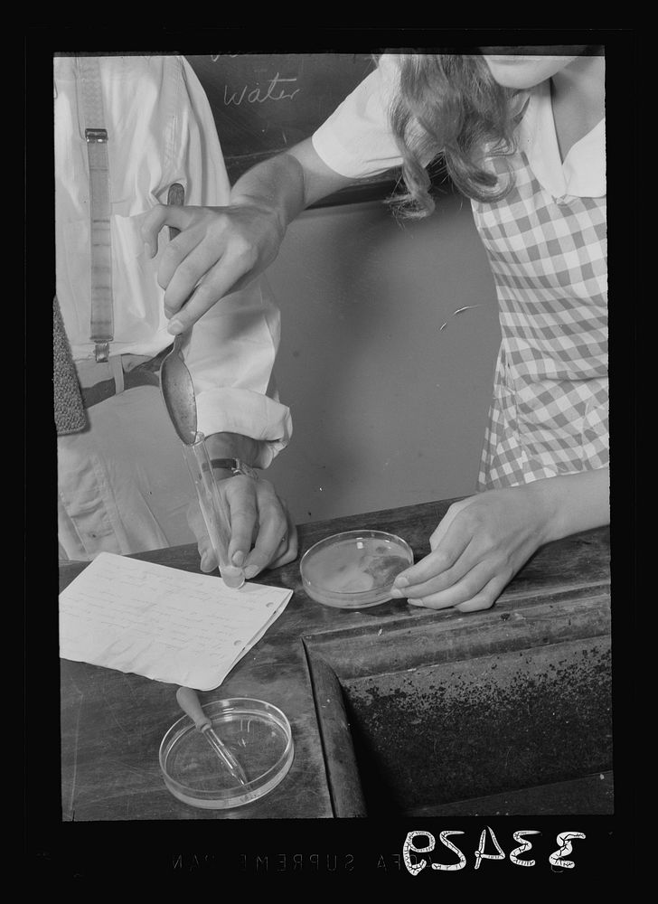 [Untitled photo, possibly related to: Keysville, Virginia. Randolph Henry High School. Equipment in a chemistry class].…
