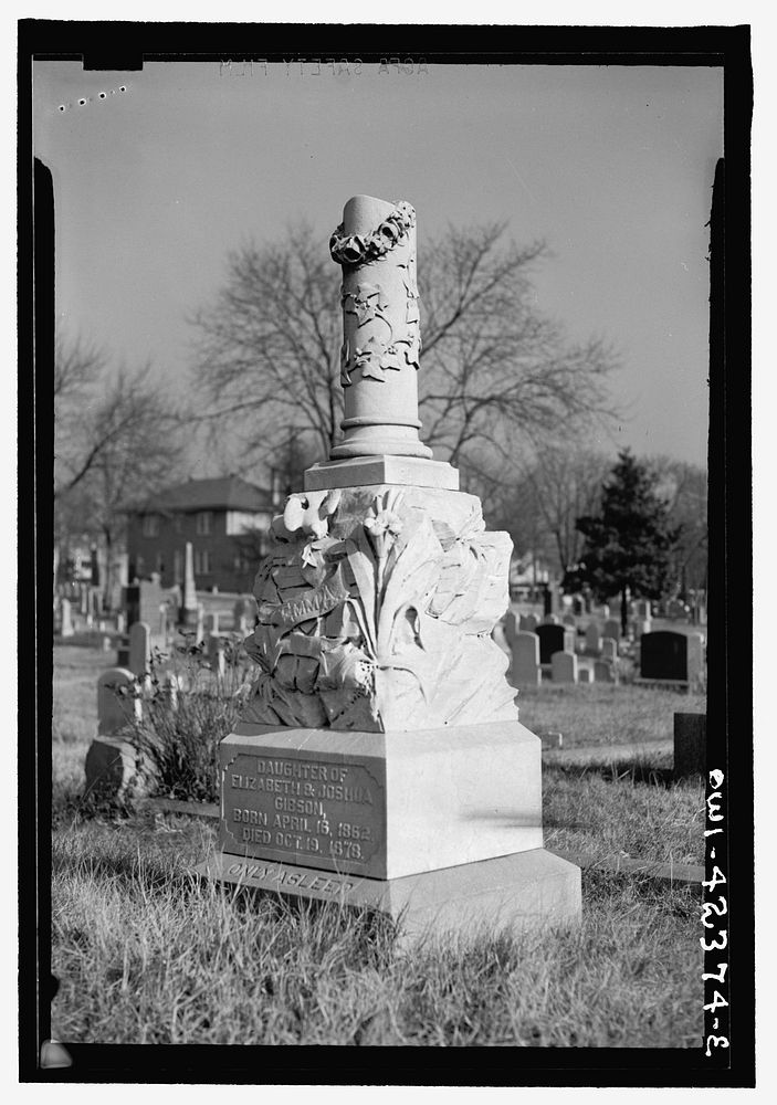 Washington, D.C. A monument in the Congressional cemetery. Sourced from the Library of Congress.