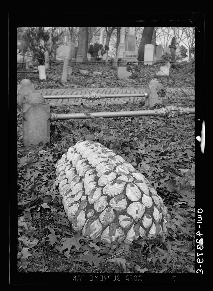 Washington, D.C. A grave in Mount Olivet Cemetery. Sourced from the Library of Congress.