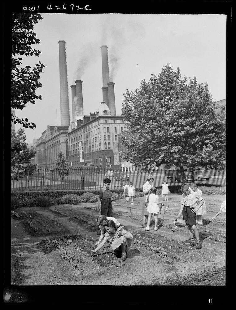 New York, New York. Children's | Free Photo - rawpixel
