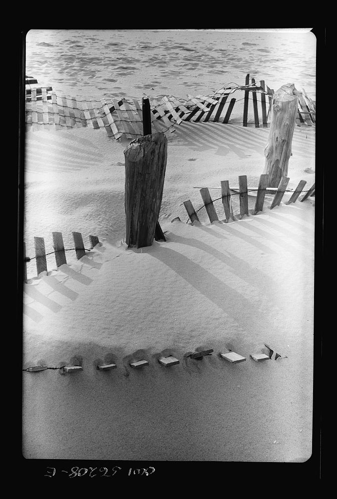 Harvey Cedars, New Jersey (Long Free Photo rawpixel