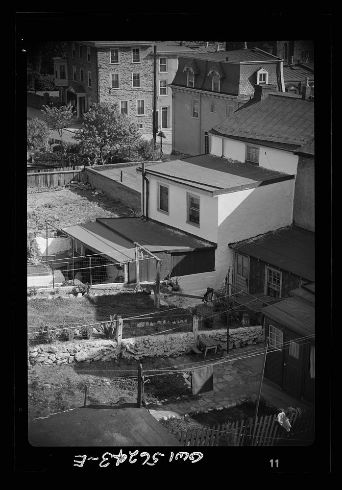 Manayunk, Pennsylvania. Back yards on a hillside. Sourced from the Library of Congress.