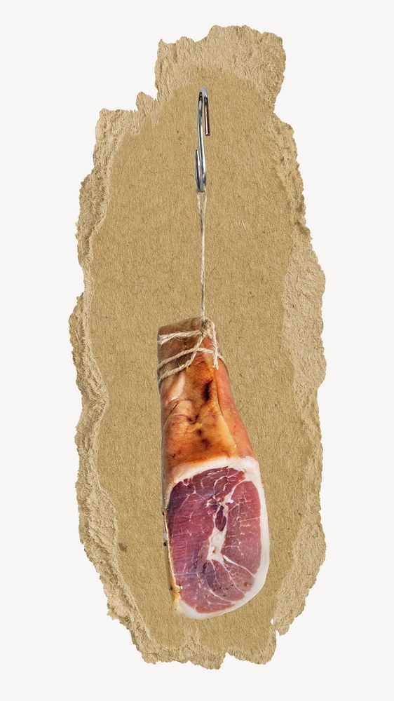 Raw ham, ripped paper collage element