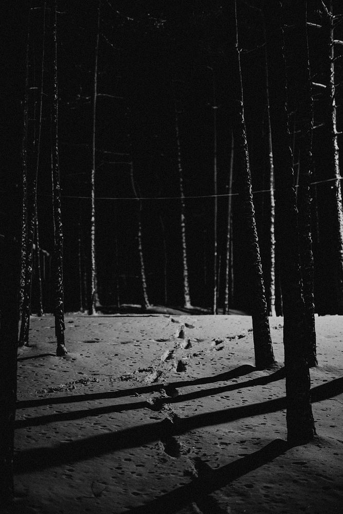 Footsteps in the snow of a dark forest