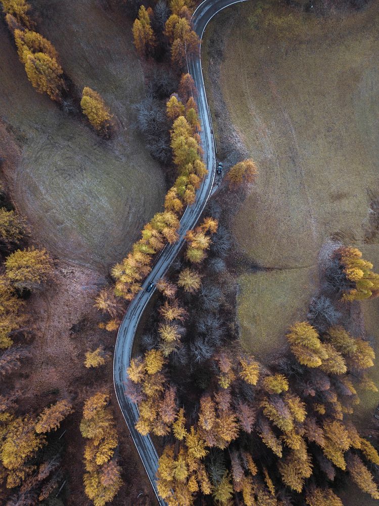 Driving among the autumn forest drone shot