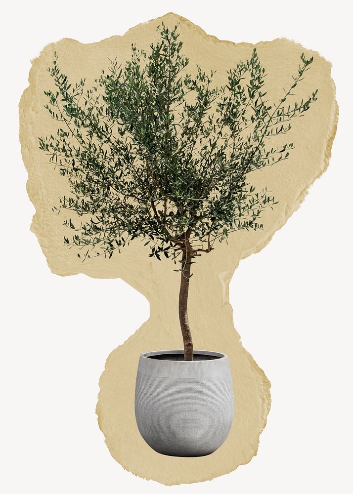 Olive tree, houseplant ripped paper collage element
