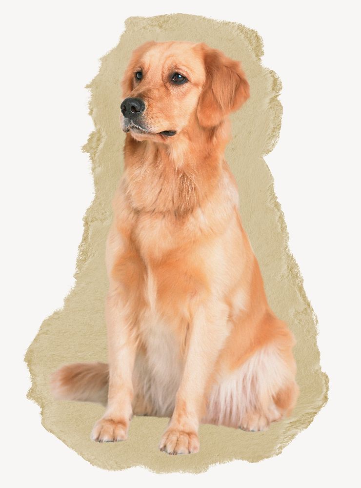 Golden Retriever dog, ripped paper collage element