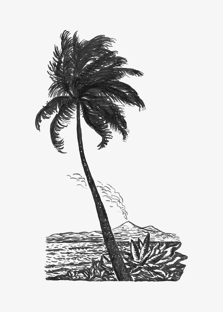 Palm tree vector vintage drawing, remixed from artworks from Leo Gestel
