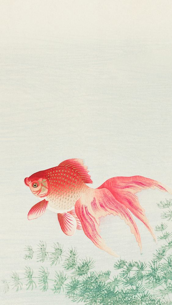 Ohara Koson mobile wallpaper, phone background, Two veil goldfish Japanese print