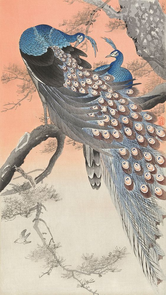 Ohara Koson iPhone wallpaper, phone background, Two peacocks on tree branch Japanese print