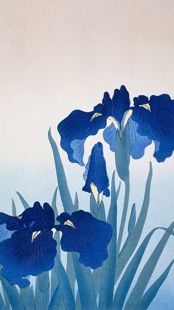 Ohara Koson mobile wallpaper, phone background, Iris flowers Japanese print