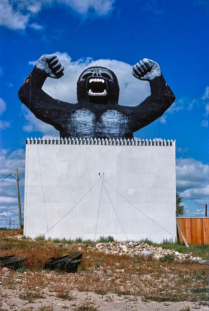 Rawhide City-Statue of Ape, Mandan, North Dakota (1980) photography in high resolution by John Margolies. Original from the…