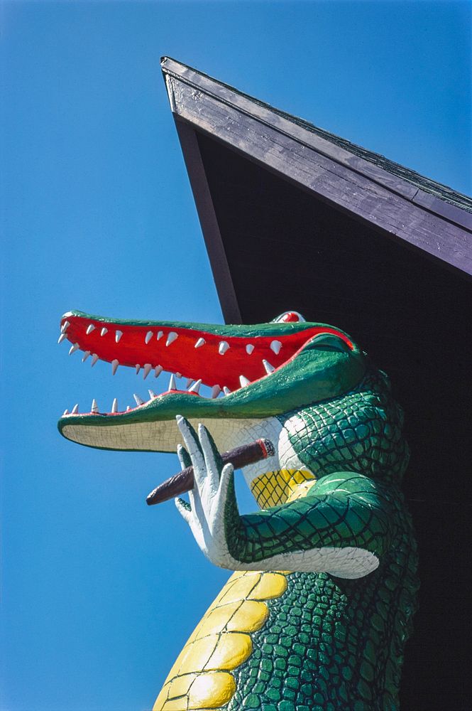 Gatorland Zoo alligator statue, Route 1, St. Augustine, Florida (1979) photography in high resolution by John Margolies.…