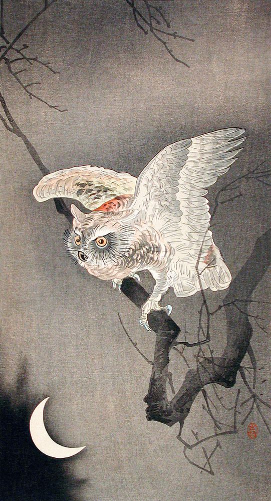 Scops Owl in Moonlight by Ohara Koson (1877&ndash;1945). Original from the Los Angeles County Museum of Art. Digitally…